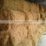 coconut coir fiber