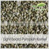 2015 Crop Edible Light Board Pumpkin Seed Kernel in China thumbnail-3