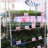 A20 Flower&plant Pot Display Trolley Gardening Equipment thumbnail-4