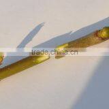 2015 Function Omega Grafting Tool With Three Blades and a Stock thumbnail-3