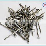 Common Wire Nails Exporter of Building Nails thumbnail-5