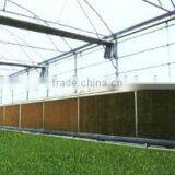 Agricultural Greenhouse thumbnail-5
