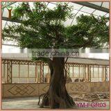 OEM GRC Trunk Banyan Tree Manufacturer thumbnail-5