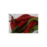 Sell Fresh Hot Chilli (Vietnam) thumbnail-1