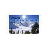 SUNHOPE (Shanghai) Co., Ltd. company overview - view 1 thumbnail