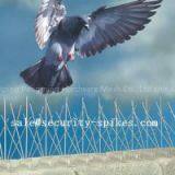 Bird Spikes thumbnail-1
