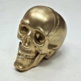 Cheap 4'' Resin Skull for Halloween Party Plastic Skull Head thumbnail-4