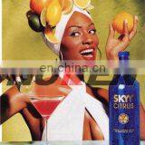 Adjustable Poster Frame Poster Folder Poster Frame thumbnail-5