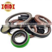 Manufacture Oil Seal Part Motor Oil & Chemical & High Pressure Resistance Double Lips+spring Black/Brown TC Oil Seal thumbnail-1