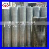 Factory Welded Wire Mesh Fence ( Hot Sale)