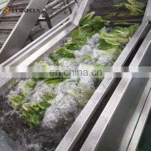 Commercial Potato French Fries Vegetable Blanching Machine thumbnail-5