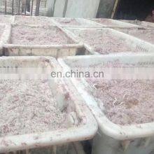 Frozen White Krill Shrimp for Fish Fodder thumbnail-5