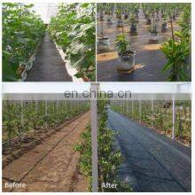 Anti Weed Mat 100% PP Woven Geotextile Weed Control Artificial Ground Cover For Blueberry thumbnail-3