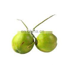 GYC 360~600pcs/h Automatic Tender Young Green Coconut Peeling Peeler Machine thumbnail-2