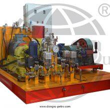 Electric Pressure Test Unit D/QST Series Pressure Test Device thumbnail-4