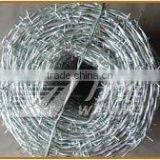 Galvanized Barbed Wire