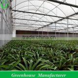 Removable Greenhouses thumbnail-1