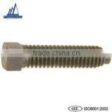 Customized F10t Tension Control Bolts