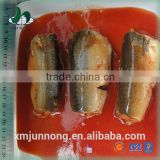 Good sales delicious canned mackerel in high quality