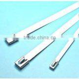 316 Stainless Steel Cable Tie