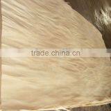 Light Celtis Veneer (MLH Veneer) thumbnail-1