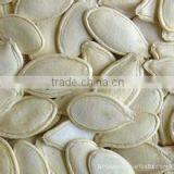 Top Quality Shine Skin Pumpkin Seeds, Organic Pumpkin Seeds From China thumbnail-1