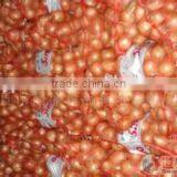 Onion Export India thumbnail-1
