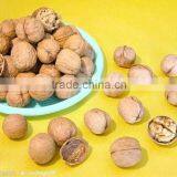 We Are Supply Walnut in Shell With Best Price for Sale thumbnail-5