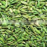 High Quality Cheap Exquisite Long Fennel Seeds thumbnail-1