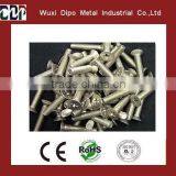 UAE Hot Sale High Quality SS Screws Distributor thumbnail-1