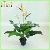 Fake Paradisebird Table Plant for Sale
