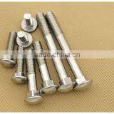 Stainless Carriage Bolt Din603/stainless304 Din 603/din603 304 Stainless Steel thumbnail-2