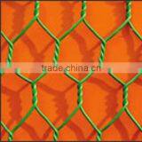 Anping Shengyang Professional Manufacturer Chicken Wire Mesh