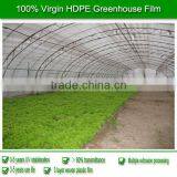 Best Selling Mushroom Film , Greenhouse Film for Mushroom Farm thumbnail-5