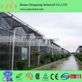 Poly Tunnel for Strawberries Tropical Greenhouse Tunnel for Sale thumbnail-4
