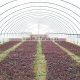 Cheap Price Polyethylene Film Covered Tunnel Greenhouse For Sale thumbnail-2