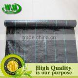 Weed Control thumbnail-1