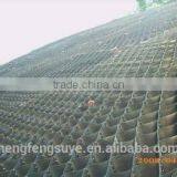 China Factory Direct Sale HDPE Geocell With Factory Price thumbnail-3