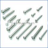 Din7981 Pan Head Self Tapping Screw Tapping Made in China thumbnail-3