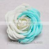 Wholesale Colorful Big Rose Flower Two - Tone Rose Diy Artificial Soap Flower thumbnail-6