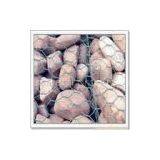 Anping Galvanized Gabion Box thumbnail-1