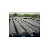HDPE Geomembrane