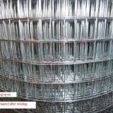Anti-corrosive Stainless Mesh Quality Stainless Steel