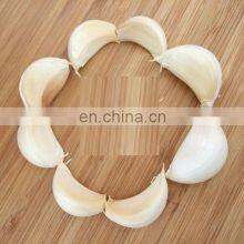 Garlic Clove Separating Machine/ Garlic Breaking Machine / Automatic Garlic Separator 0086-15939556928 thumbnail-4