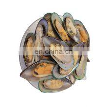 Hot Sale Frozen Half Shell Mussel for Export thumbnail-3