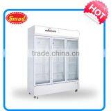 Commercial Use Beverage Cooler,158L-1000L thumbnail-1