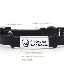 Hot Selling New Design Luxury Leather Custom Name ID Personalized Dog Cat Accessories Collar Jewelry