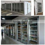 Polyurethane Insulated Glass Door Freezer Storage thumbnail-1