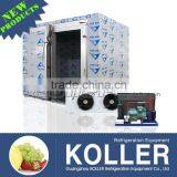 15tons New Design Freezer Cold Storage Room with refrigerators for frozen beef VCR50