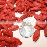 2015 Factory Golden Goji Berry Supplier thumbnail-2